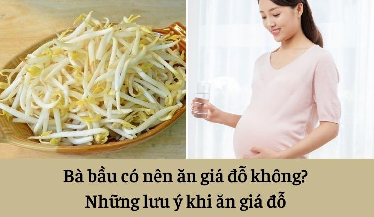 Mẹ bầu ăn giá được không? Và những điều cần lưu ý 