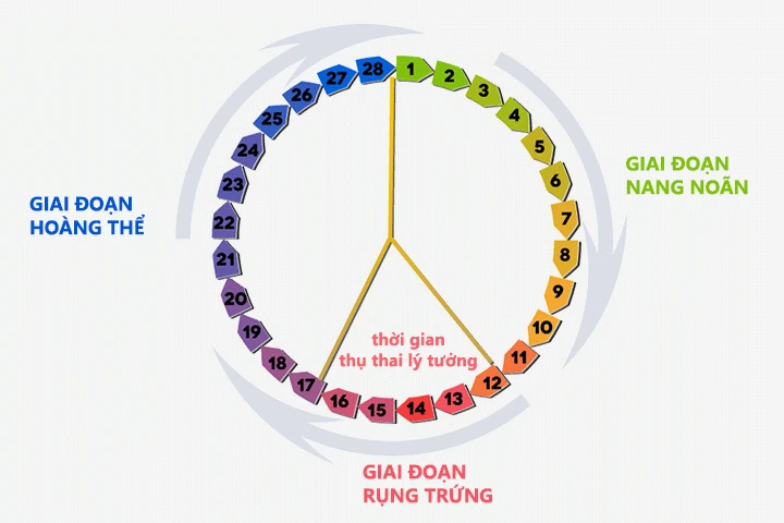 Vừa hết kinh 7 ngày quan hệ có bầu không